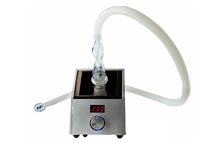 Easy Vape Vaporizer for Dry Herb with Whip Wand