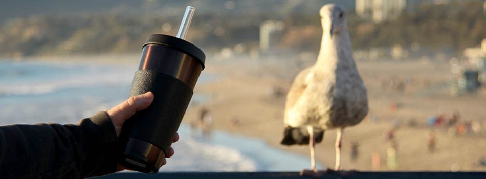 A man holding a Vapor Cup next to a bird