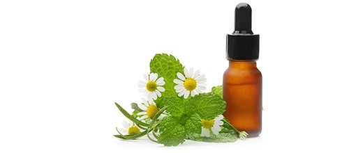 Chamomile next to an oil drip bottle - Benefits in Herbal Solutions vs. Prescription Drugs